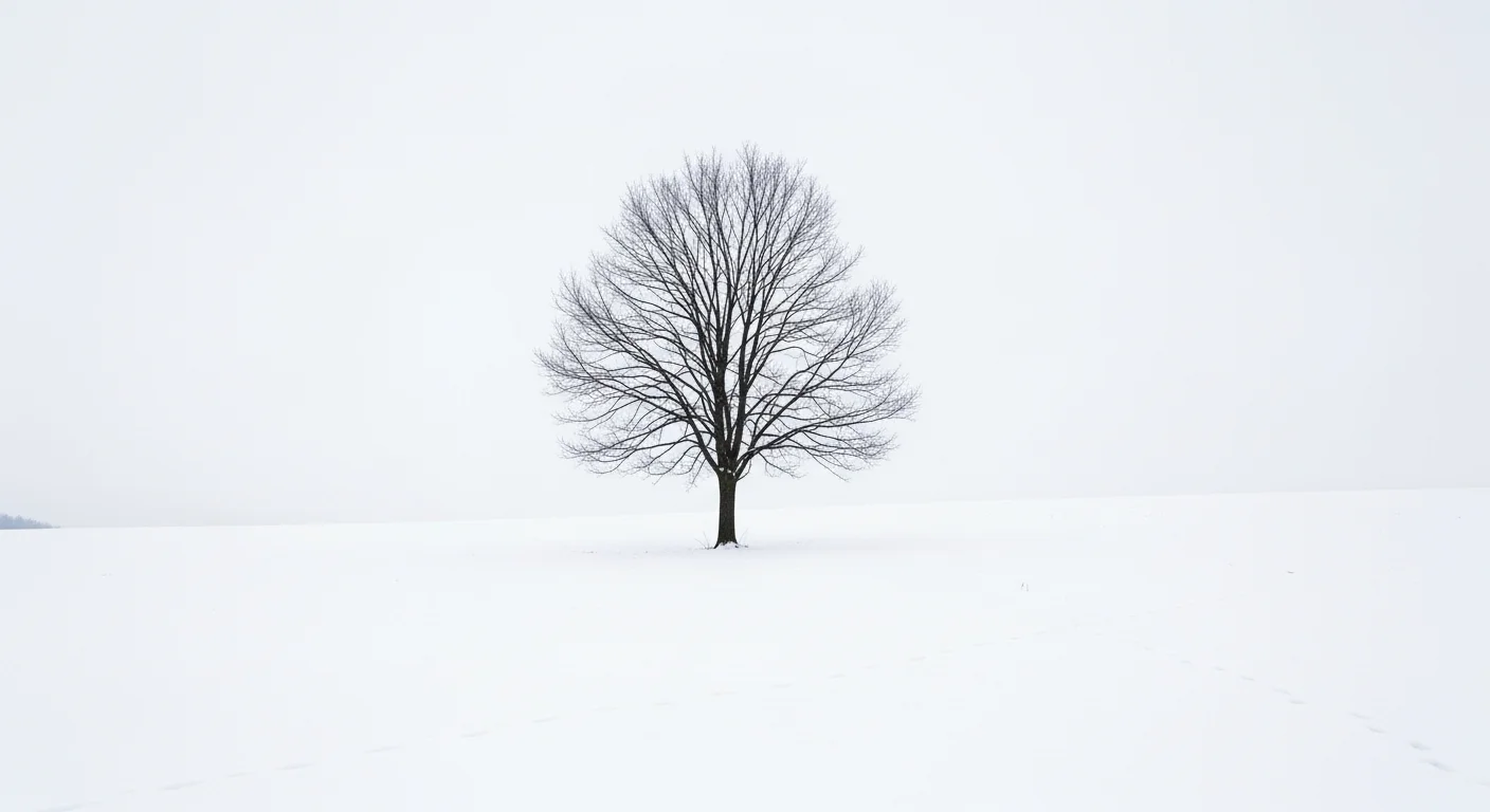 A minimalist winter scene in Biei: a single, leafless tree stands in a vast, snow-covered field. The snow is pristine, with only a few animal tracks crossing the landscape. The sky is pale and overcast, emphasizing the quiet solitude and beauty of the moment.
